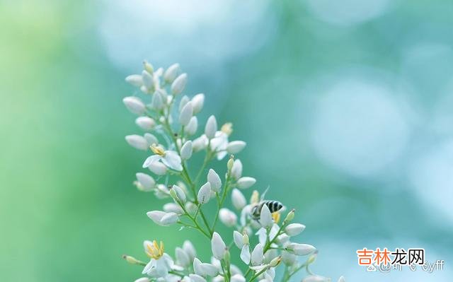 中年男女交往时 中年男女发生“亲密关系”后，可能承担不起这三个后果