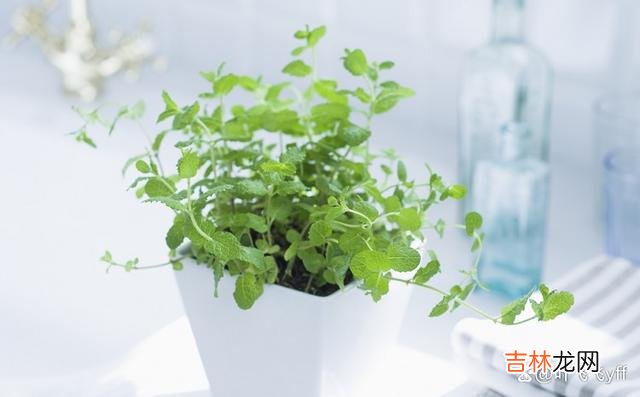 中年男女 中年男女越界后，想要结局圆满，一般要做好这两件事