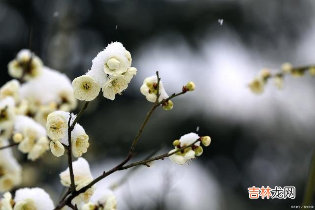 冬雨绵绵 冬雨绵绵，适合写作之路才能走到今天