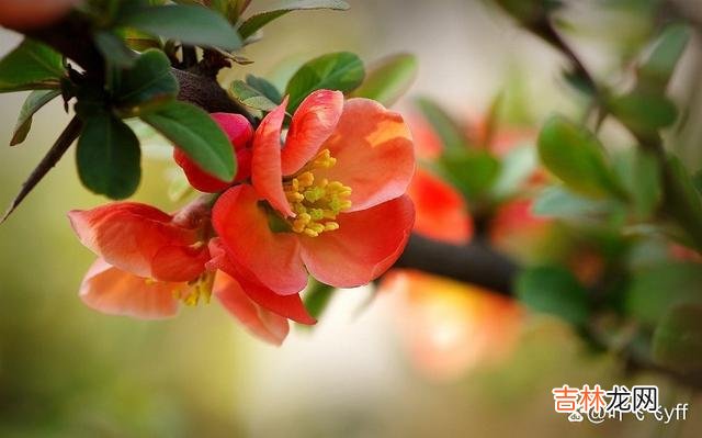 女人在感情里 女人不爱你时，这些“肢体反应”很明显，一看便知