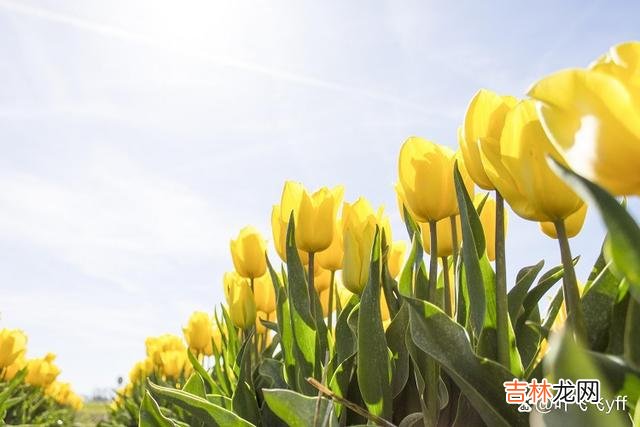 柏拉图说：“爱情 女人爱你到极致了，她就会在这三个时刻，“顺从”你