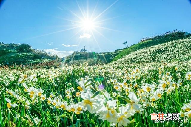 在感情里 两性相处,女人有这三个异常表现,多半就是变心了