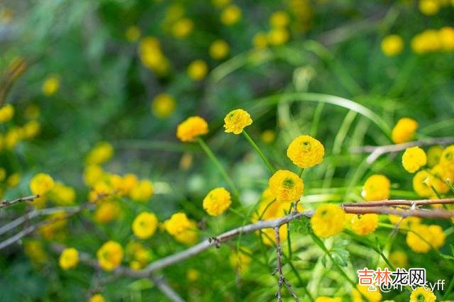 在感情里 两性相处,女人有这三个异常表现,多半就是变心了