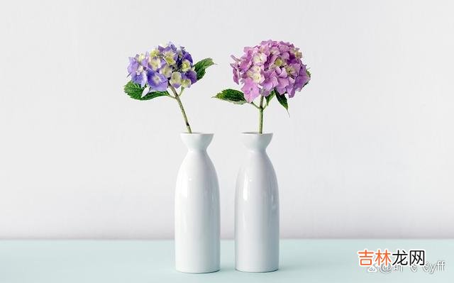 退休后 人到晚年，有没有钱是其次，给儿女留下这些东西才是远见