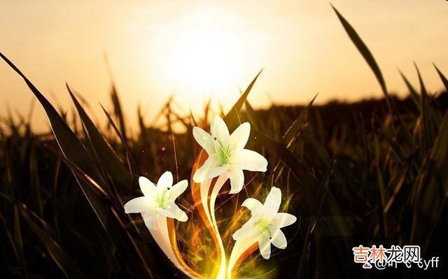 退休后 人到晚年，有没有钱是其次，给儿女留下这些东西才是远见