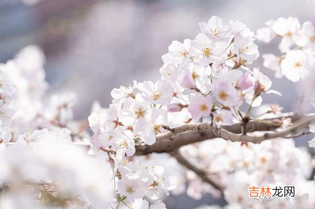 真正的爱情 情到深处的女人，才会对你坦白三件事，别不懂