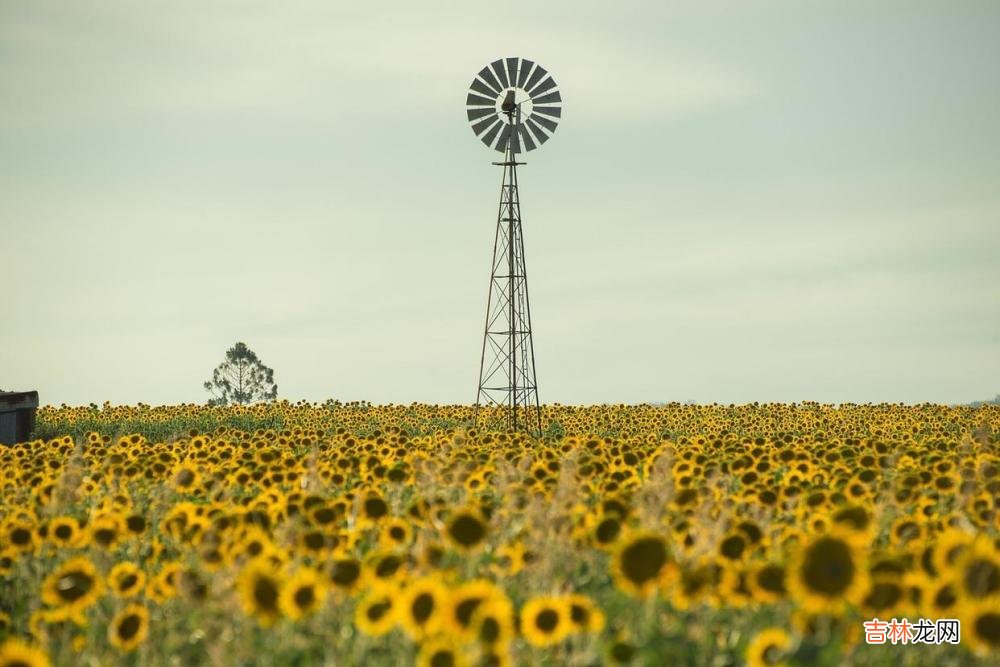 心理学：你之所以“被轻视”，其实是你自己造成的