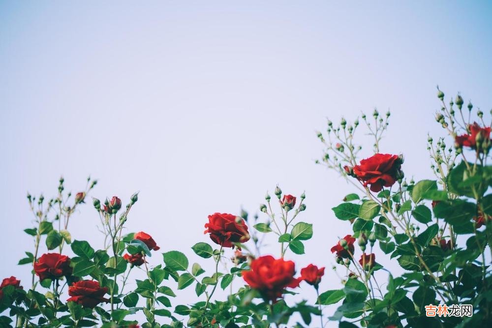 心理学：你之所以“被轻视”，其实是你自己造成的