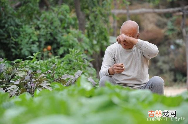 谈到“丁克” 一般来说，丁克族到了晚年，可能会面临三个困境