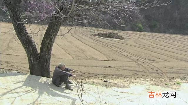 谈到“丁克” 一般来说，丁克族到了晚年，可能会面临三个困境
