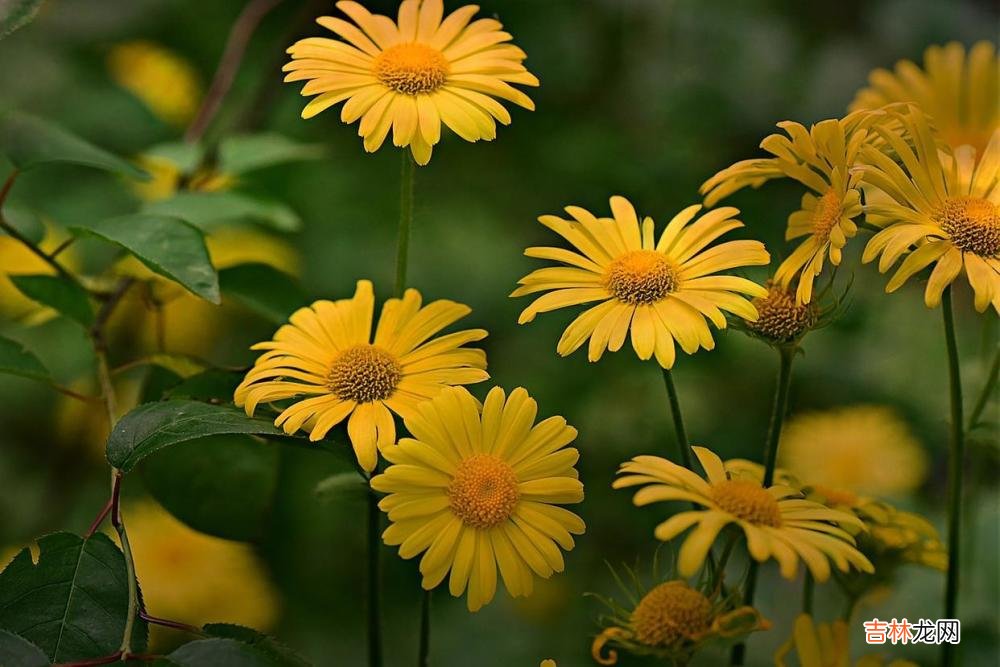 婚姻生活中,比背叛更可怕的是“婚内单身”