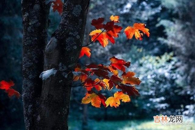 虽然说 情侣之间，多做下面几件事，感情越来越浓