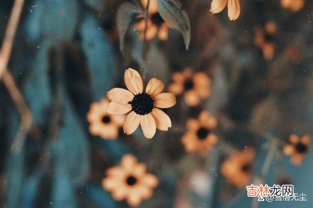 虽然说 情侣之间，多做下面几件事，感情越来越浓