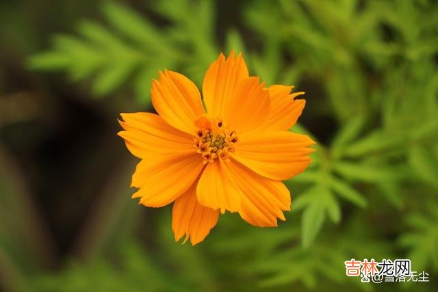 在人们的固有认知中 误了女人一生的“3句话”，听听就算了，一句也别信