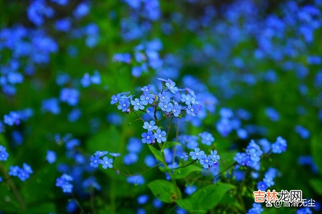 一篇题为《二舅治愈了我的情绪内耗》的文章火爆全网 夫妻间，多用三种方式说话，就不会再有争吵与冷战了