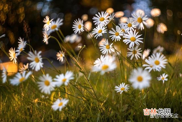 一篇题为《二舅治愈了我的情绪内耗》的文章火爆全网 夫妻间，多用三种方式说话，就不会再有争吵与冷战了