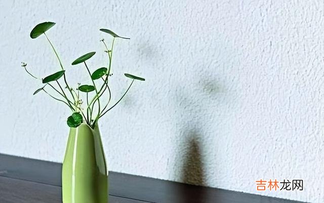 荀子说：“自知者不怨人 做人，远离了各种祸害，幸福之神就如约而至