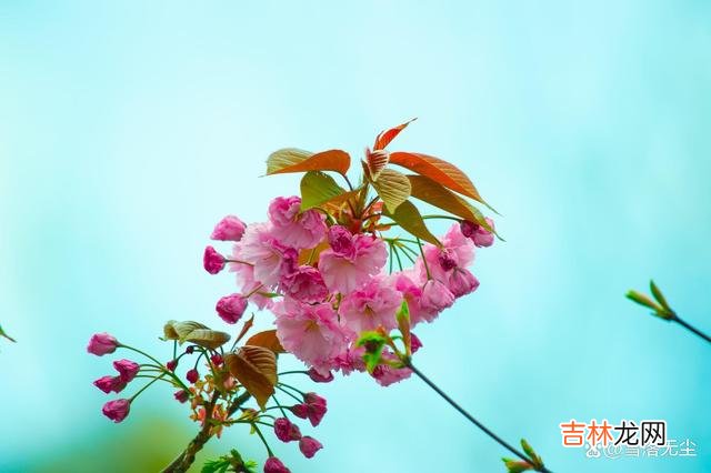 著名主持人梁文道曾经说过：“一个女人一定要有自己过日子的能力 离婚后越过越好的女人，无非是做对了一点，，其实你也可以