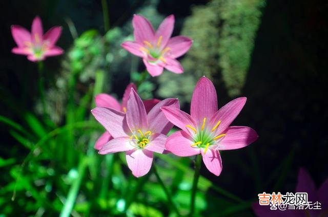 著名主持人梁文道曾经说过：“一个女人一定要有自己过日子的能力 离婚后越过越好的女人，无非是做对了一点，，其实你也可以