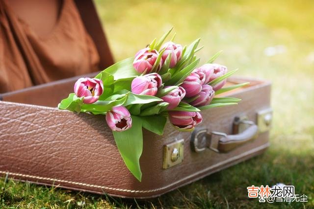在爱情中 男人跟你断联了，不要问他为什么，“这么做”你就赢了