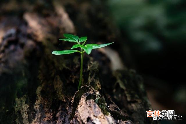 在任何阶段的感情中 在任何阶段的感情中，女人的试错成本，都比男人要高很多