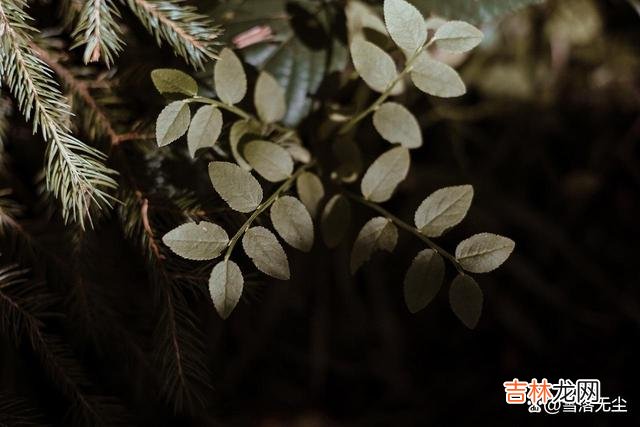 在任何阶段的感情中 在任何阶段的感情中，女人的试错成本，都比男人要高很多