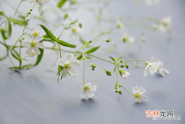 生活中 一起来看看，婚姻中，5个扎心“真相”，越早看透越好