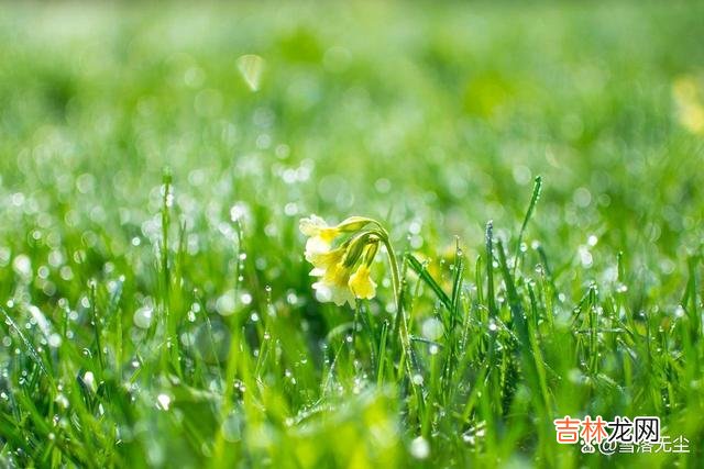 异性相处 有家室的男人，并不喜欢你，他们不过是一时兴起，并不是因为感情
