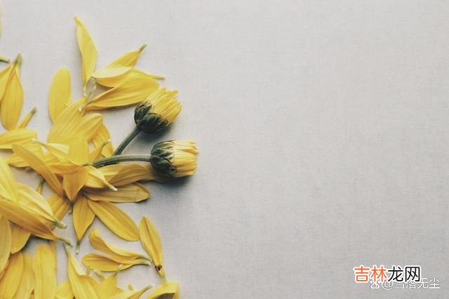 专栏《女性幸福宝典：让他更爱你》 男女相处，向来讲究合适的方式方法