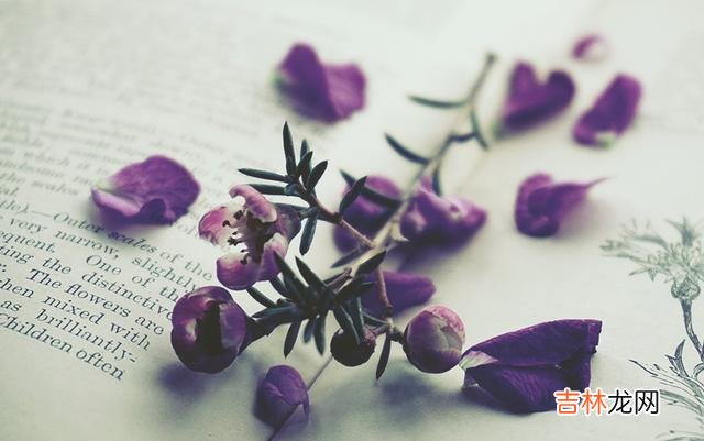 01.|失恋从来没有爱过的人，才应该感到后悔，爱到深处是无言