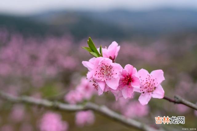 有一种悟 有一种悟，叫作美；我终于明白了香火旺盛的原因
