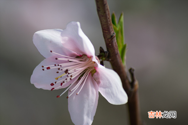 01.|今生，就是我最深的眷恋；你，就是我红尘中的浪漫