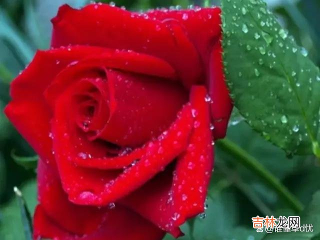 一场相遇 一场相遇,演绎出一生的情缘,爱上一个你,温暖我一辈子