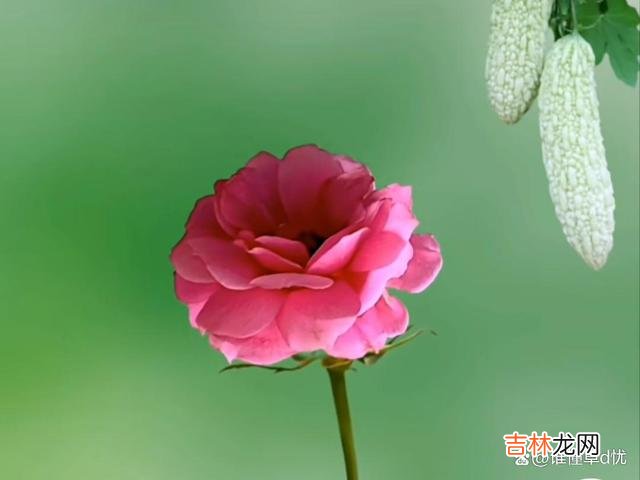 一场相遇 一场相遇,演绎出一生的情缘,爱上一个你,温暖我一辈子