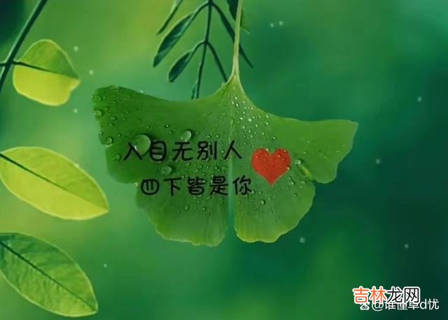 情感的世界里 真爱一个人，便不问归期，心有所属就是一辈子！