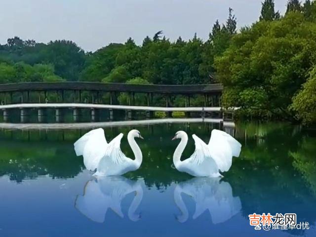 真挚的情 真挚的情，从心动那一刻起，便下定决心好好珍惜，认定一辈子