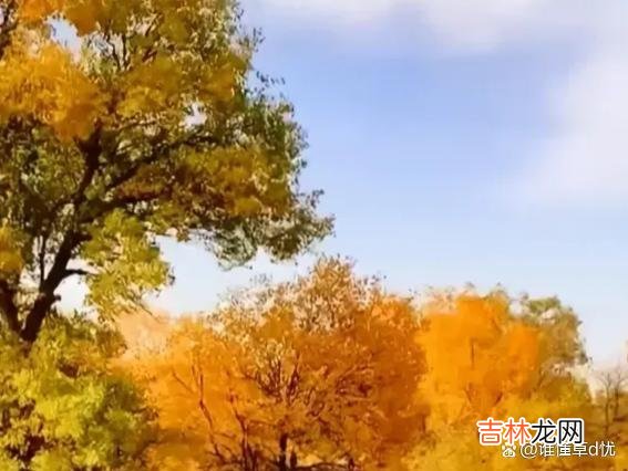 火热的爱清纯且透澈 想你，一念相思起，心上便散发出诗意般的清欢与美丽！
