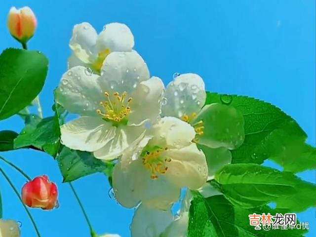 你是我最暖的归属，入了我的心，我爱你永不辜负