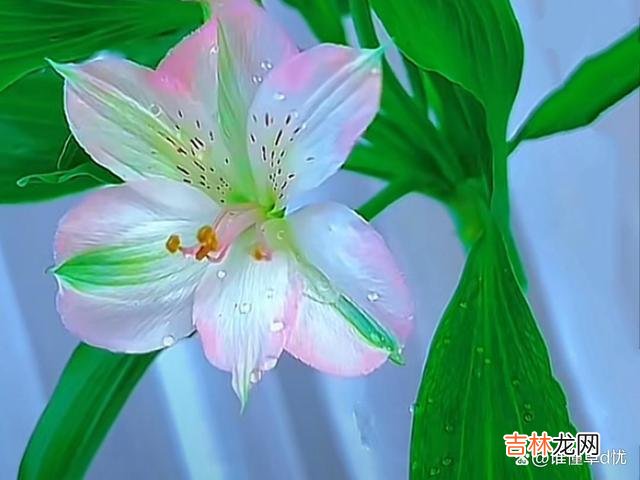 爱你一生一世永不变，想你相思如风一样在心上