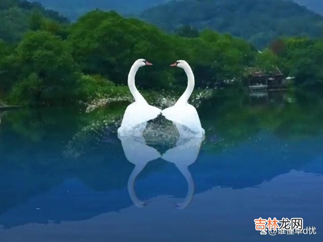 爱你一生一世永不变，想你相思如风一样在心上