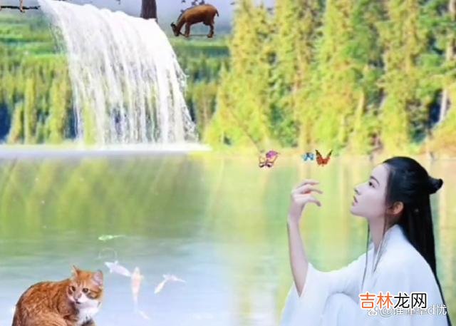 思念是一种无声的交流 思念是一种无声的交流，在那个别人走不出的世界里