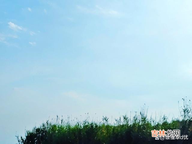 真爱的情在心上环绕时 你入了我的心，我爱你永远如初，今生只为你痴狂！