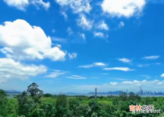紫陌红尘里 想你，为你相思，再苦我也愿意！