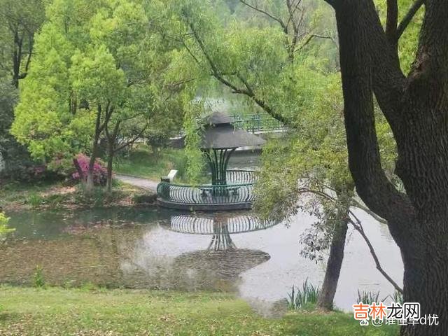 动心的情无法再掩饰 想你，你是我心里的宝，我爱你永远情深似海