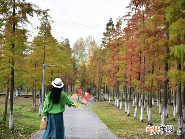 动心的情无法再掩饰 想你，你是我心里的宝，我爱你永远情深似海