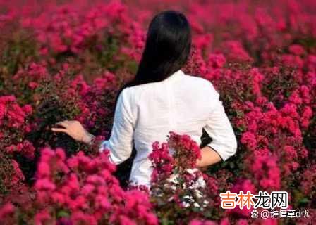 导语：入了心的你 入了心的你，一辈子都无人能取代，你是我一辈子的真爱