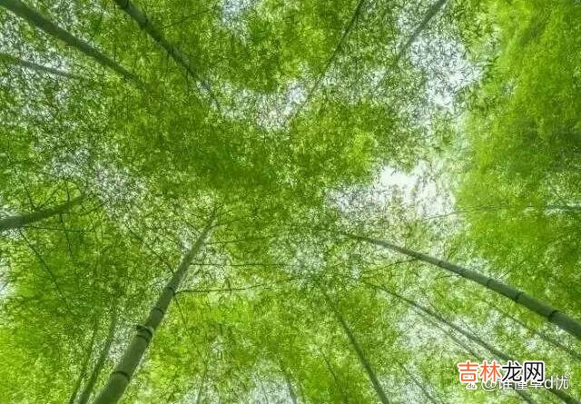 导语：入了心的你 入了心的你，一辈子都无人能取代，你是我一辈子的真爱
