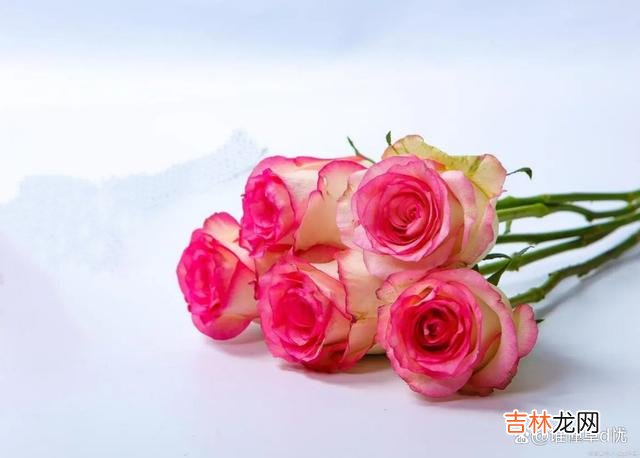 导语：深深爱着 深深爱着，想念如风，想你，我以为你离开很快就会回来
