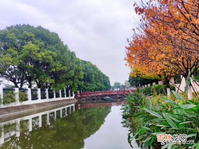 思情悠然起 想你,远方有你思念不停,你是我此生唯一的思念之人