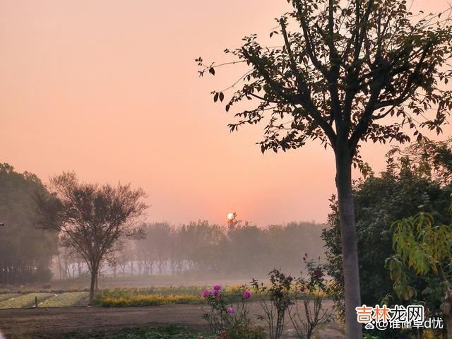 思情悠然起 想你,远方有你思念不停,你是我此生唯一的思念之人